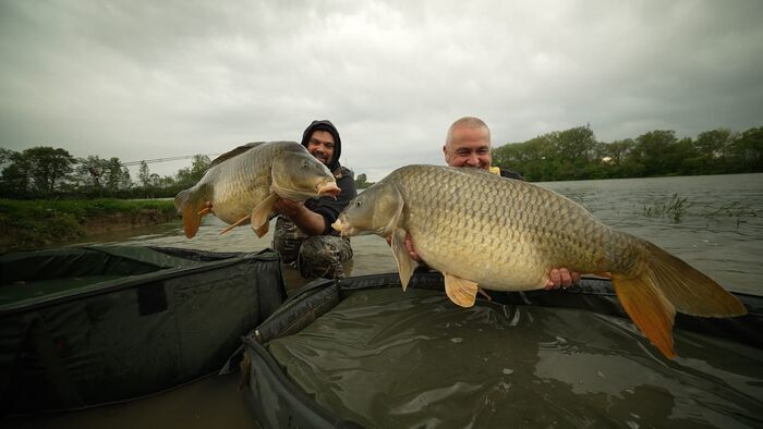 Carpe, destination Saône-et-Loire