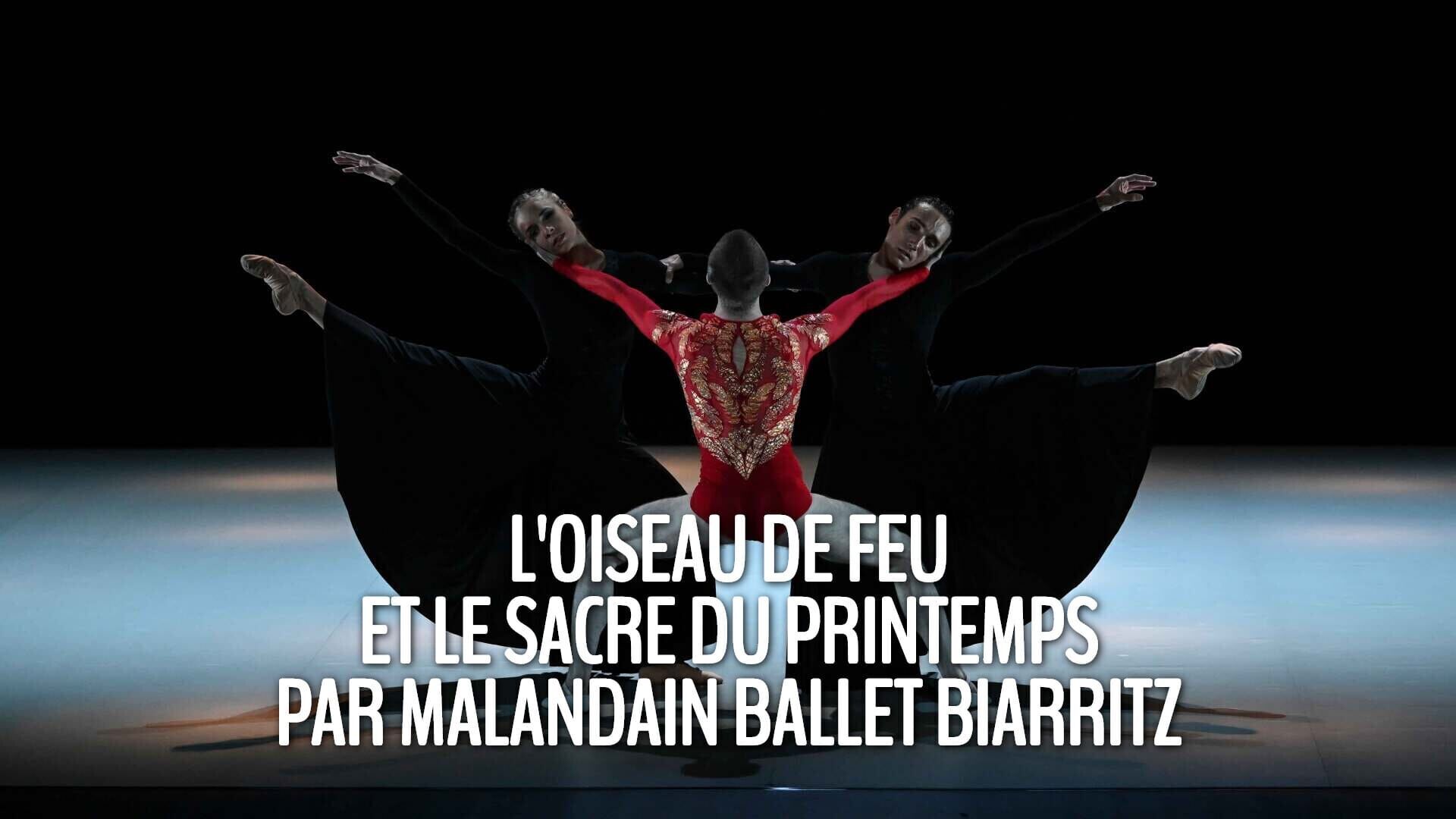 L'Oiseau de feu et le Sacre du printemps par Malandain Ballet Biarritz