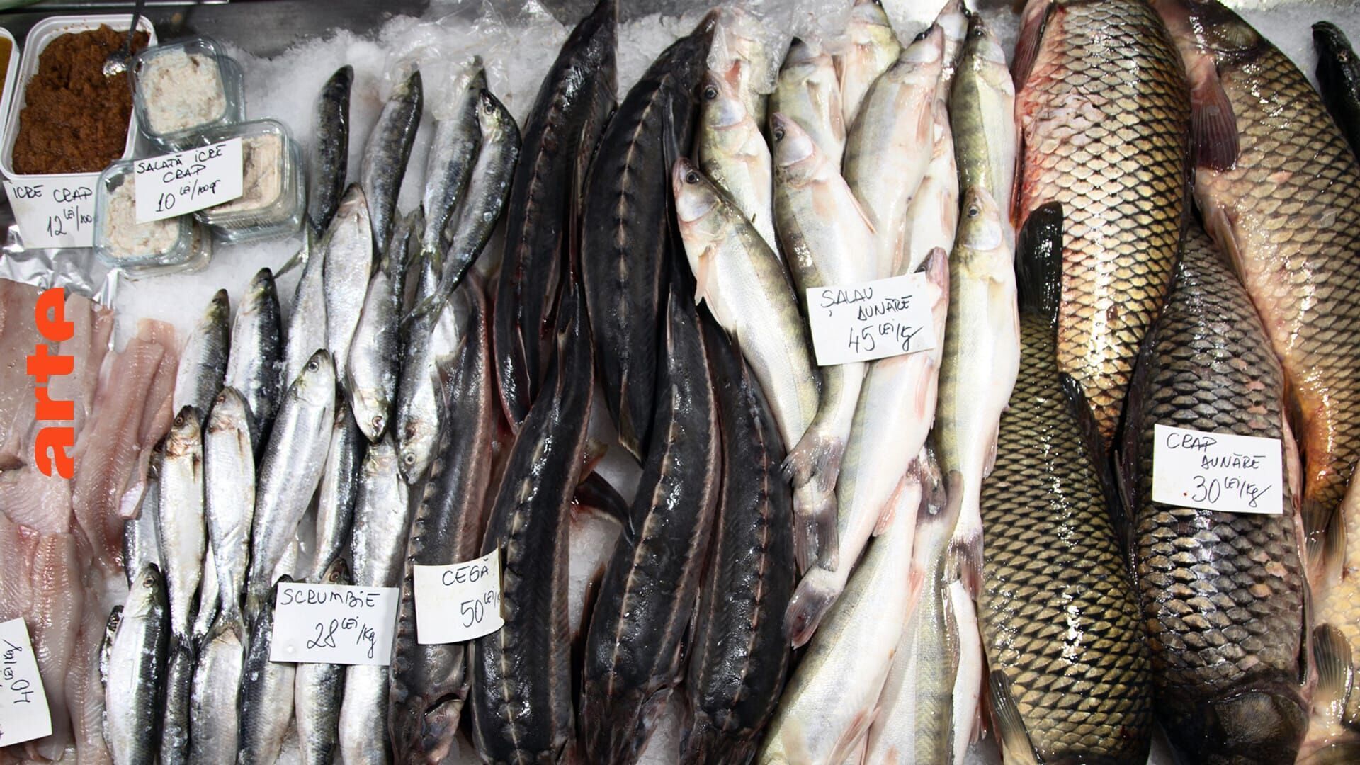 Le ventre de Bucarest : Le marché Obor