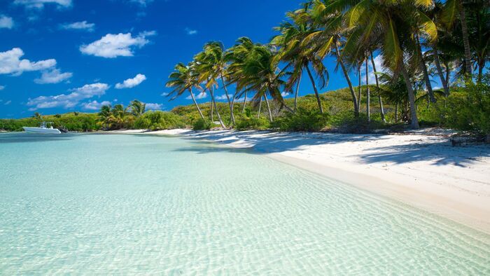 Caribbean vibes