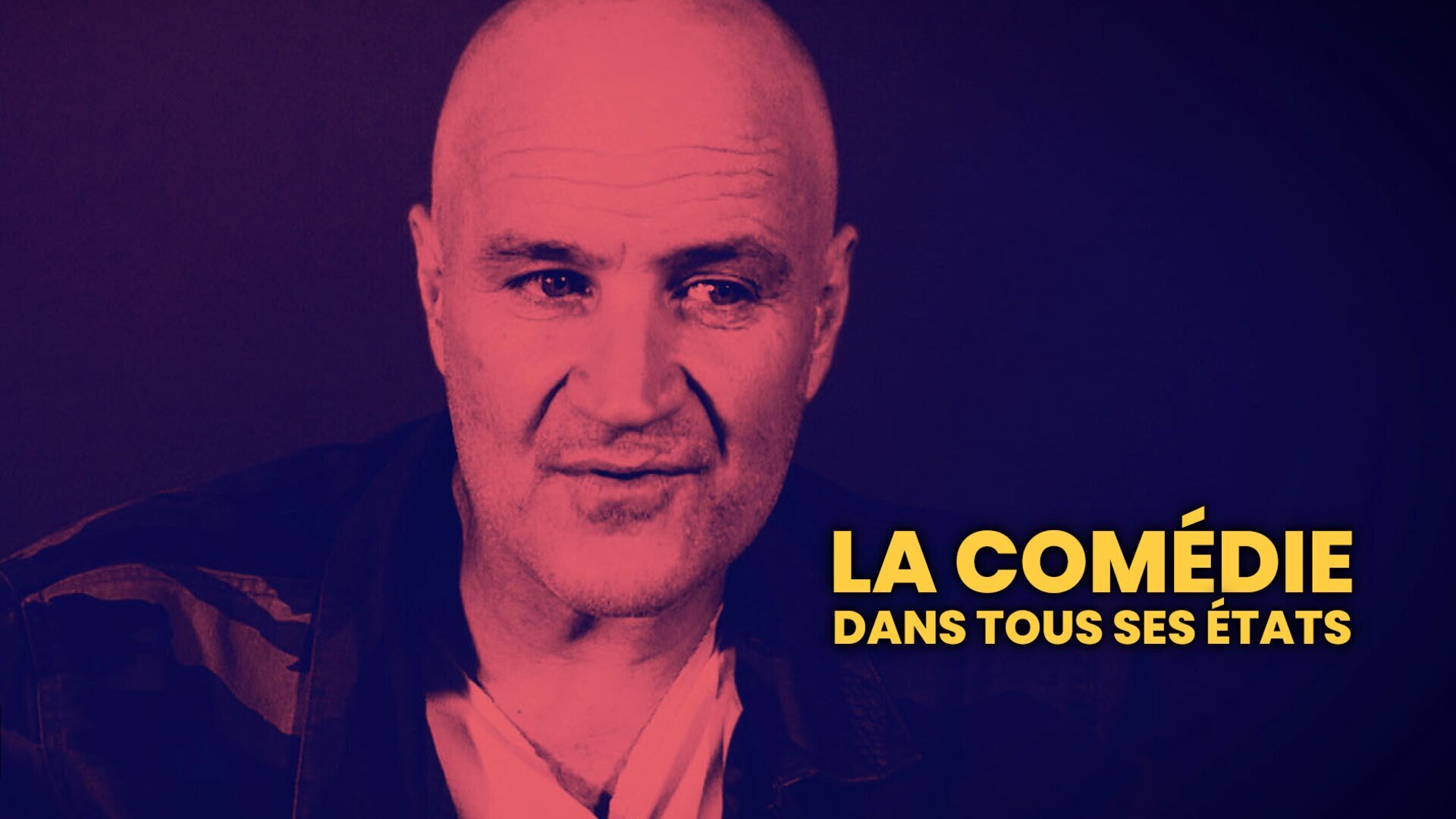 La comédie dans tous ses états