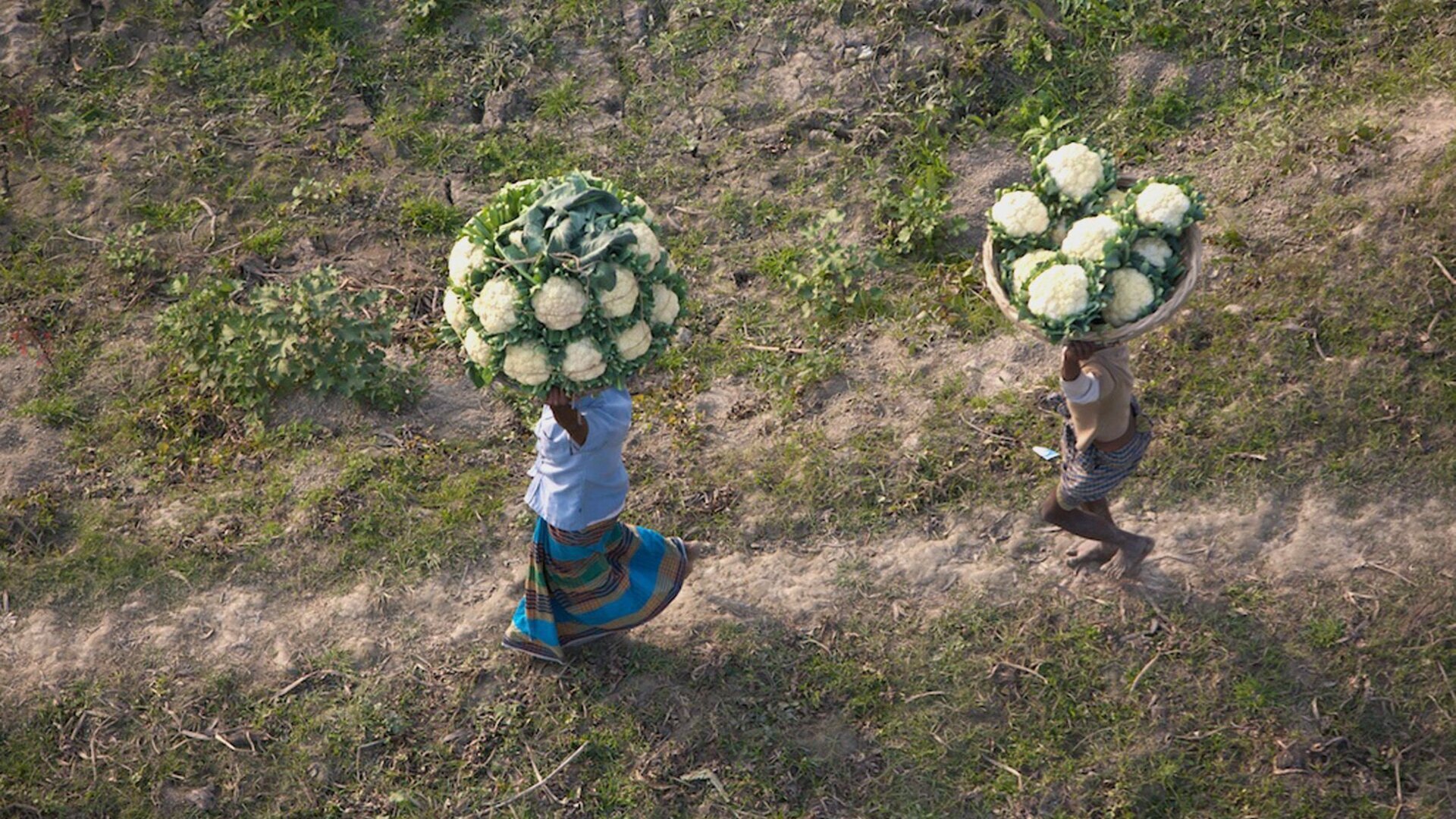Les Héros de la Nature : Bangladesh