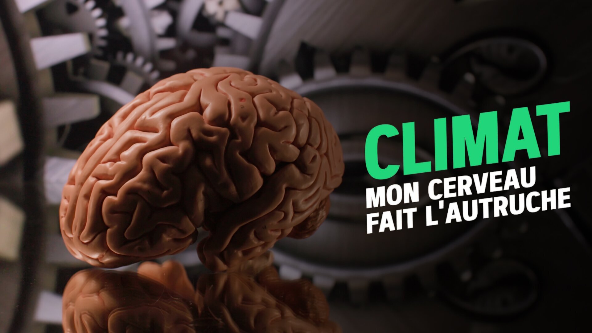 Climat : mon cerveau fait l'autruche