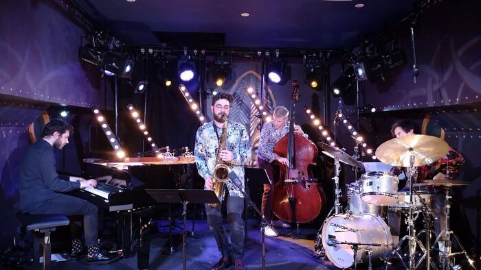 Quartet Flash Pig