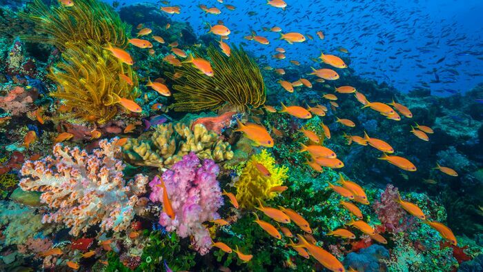 Le Queensland en Australie