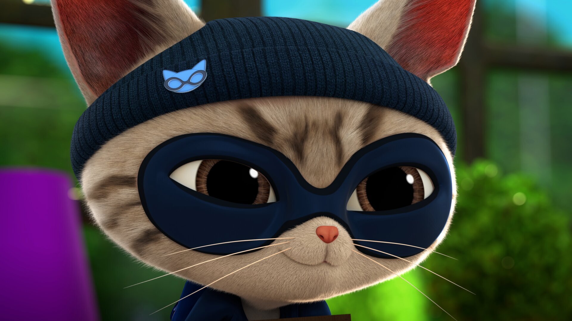 Py-chat-ma / Chat des champs