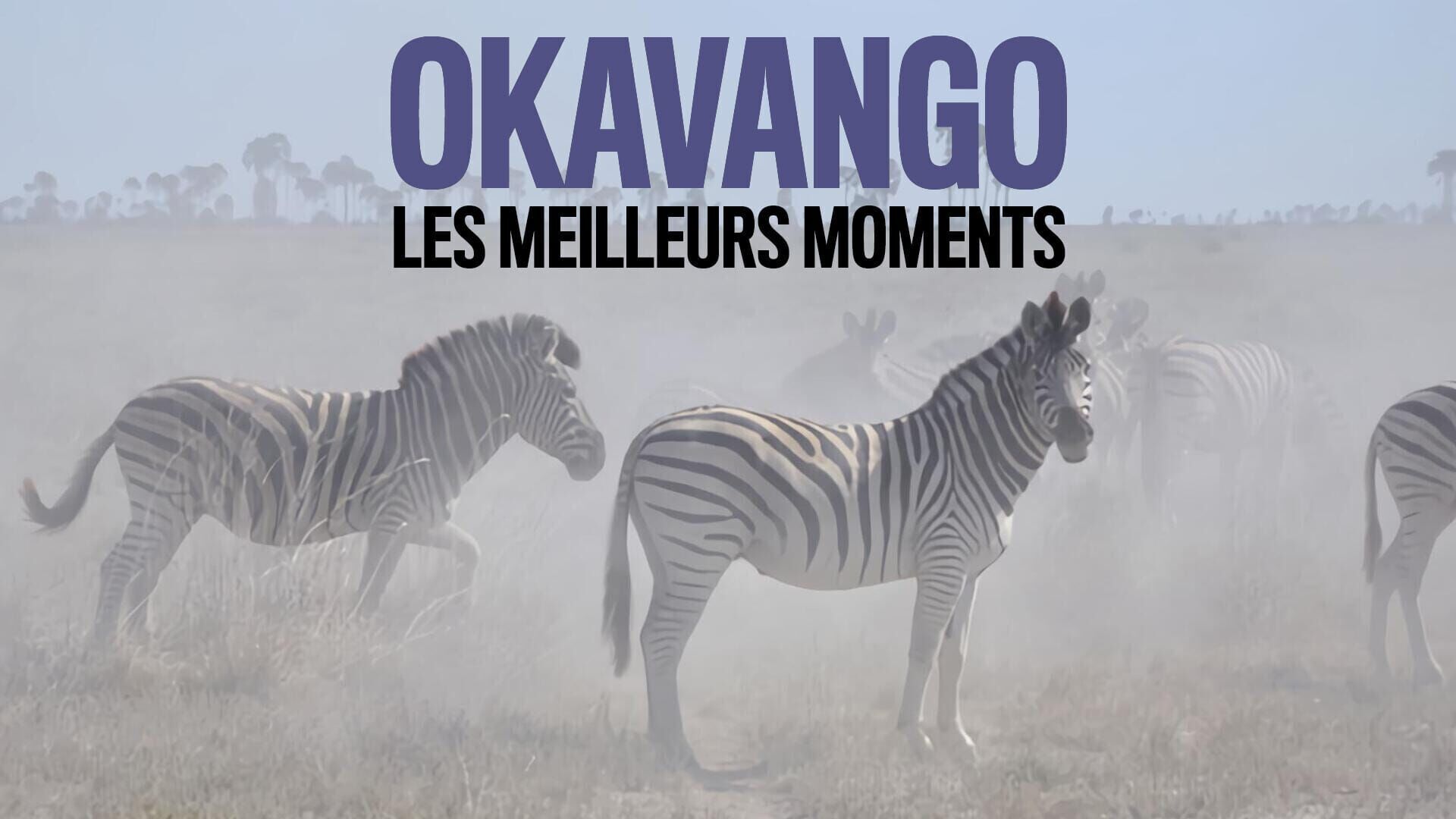 Une année en Afrique, Best of