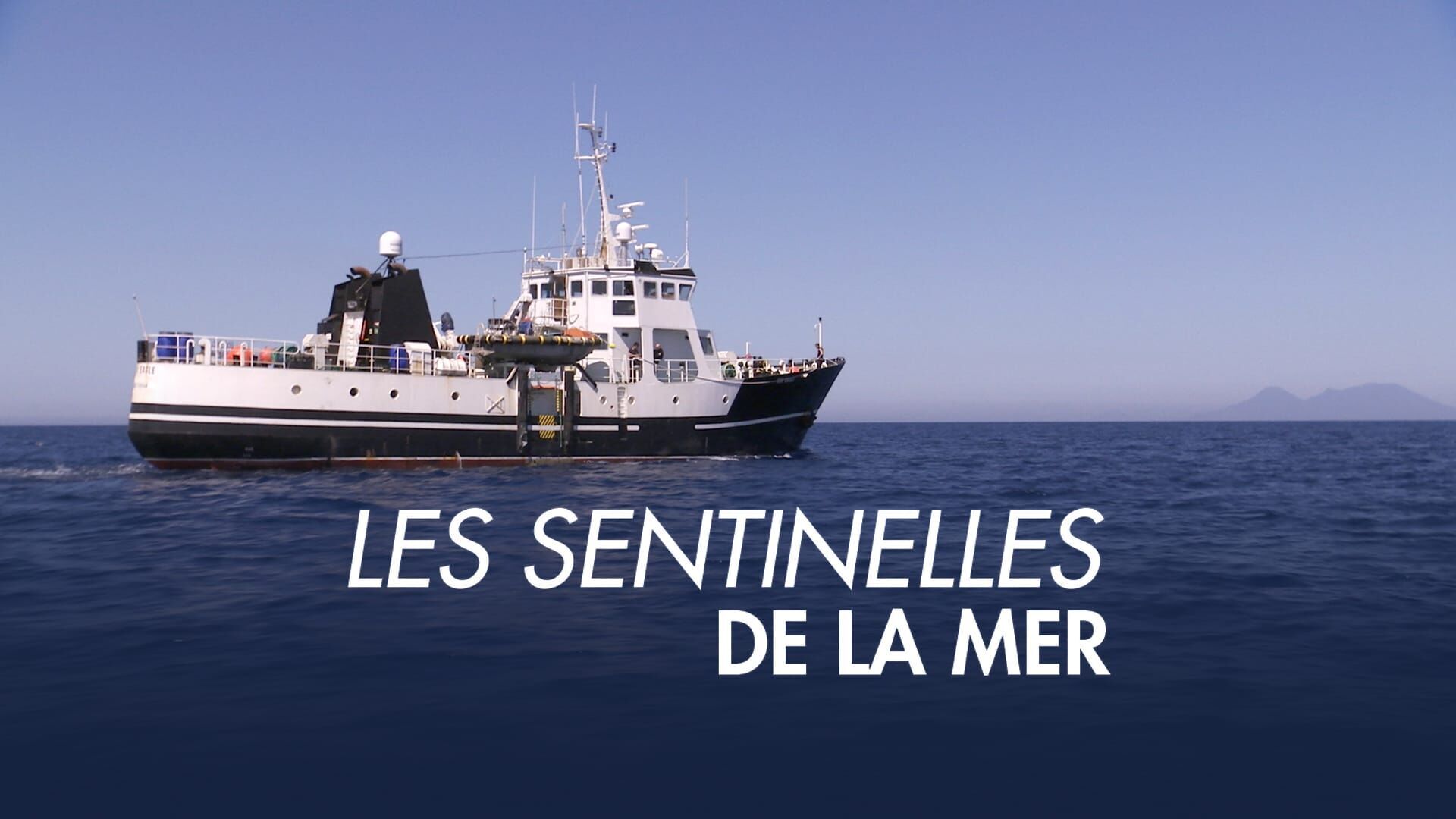 Les sentinelles de la mer