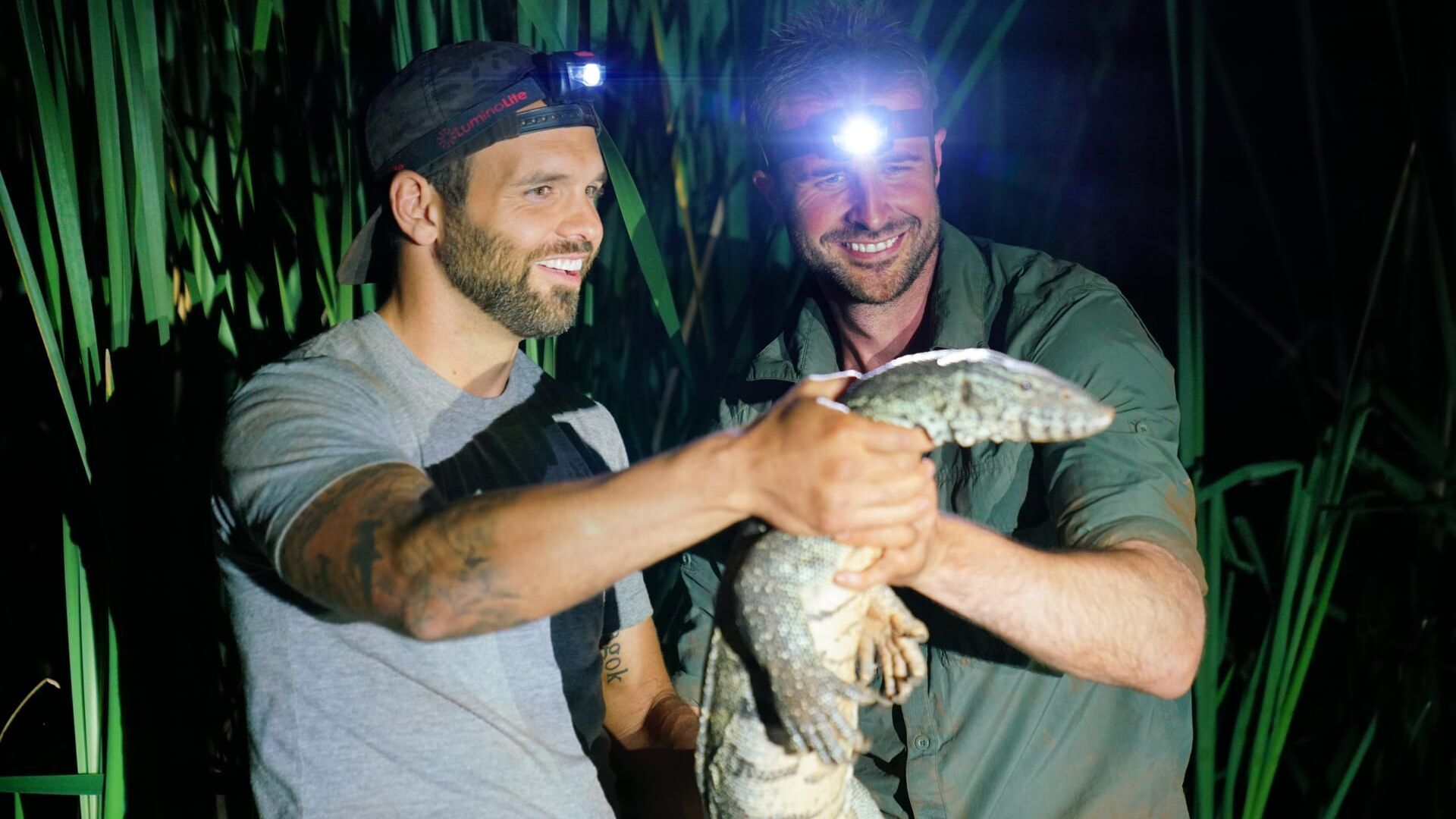 Varan du Nil et fourmi de velours