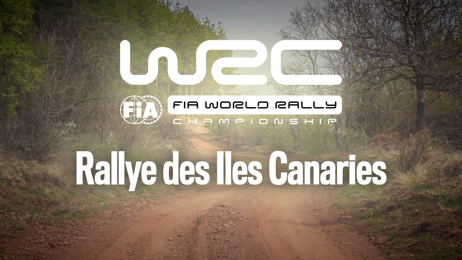 Rallye : WRC, Rallye des Iles Canaries