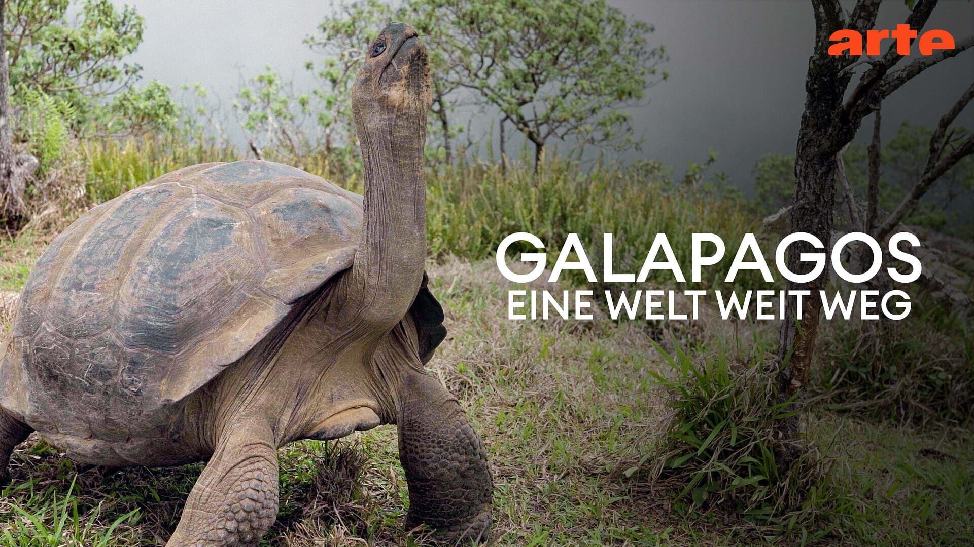 Le monde perdu des Galapagos