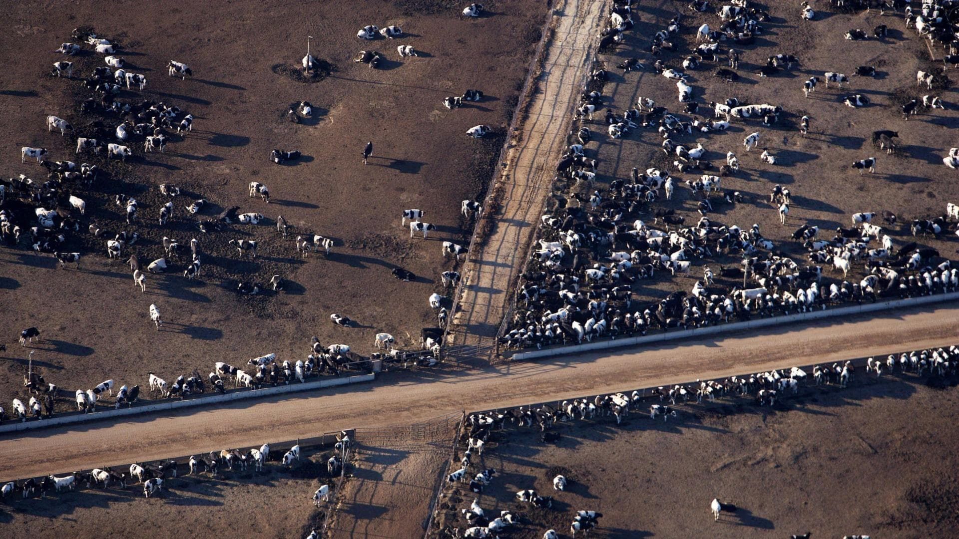 6 milliards d'hommes à nourrir (2)