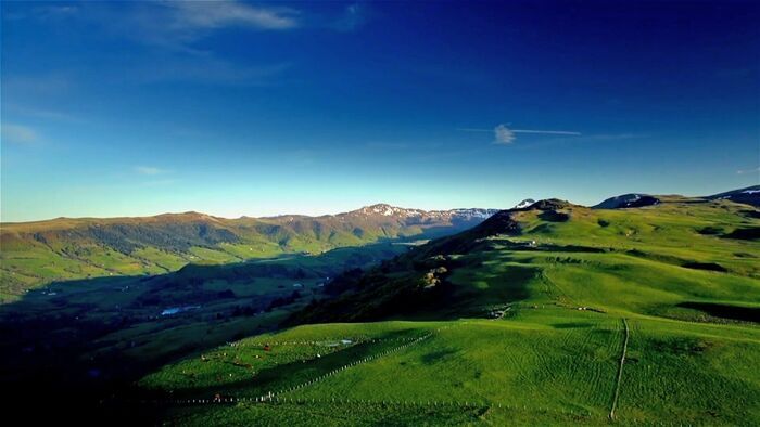 Cantal et liqueur de gentiane des monts du Cantal