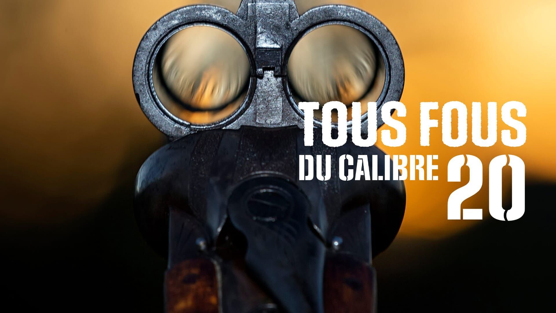 Des lapins et un setter anglais
