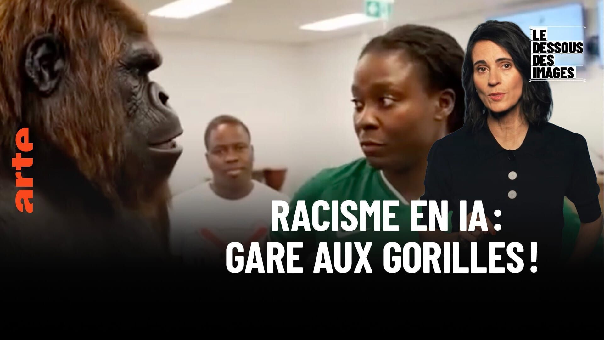 Racisme en IA : gare aux gorilles !