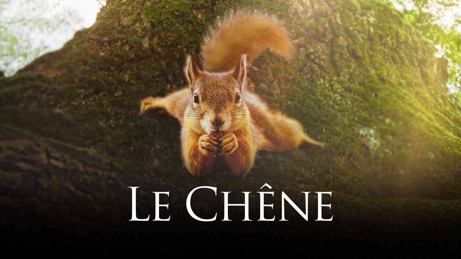 Le Chêne