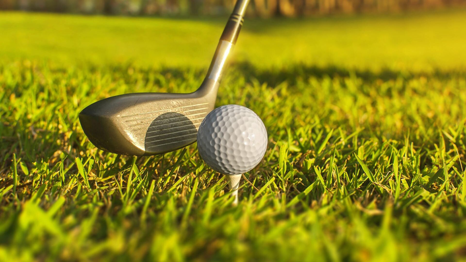 Golf: FedEx St. Jude Championship