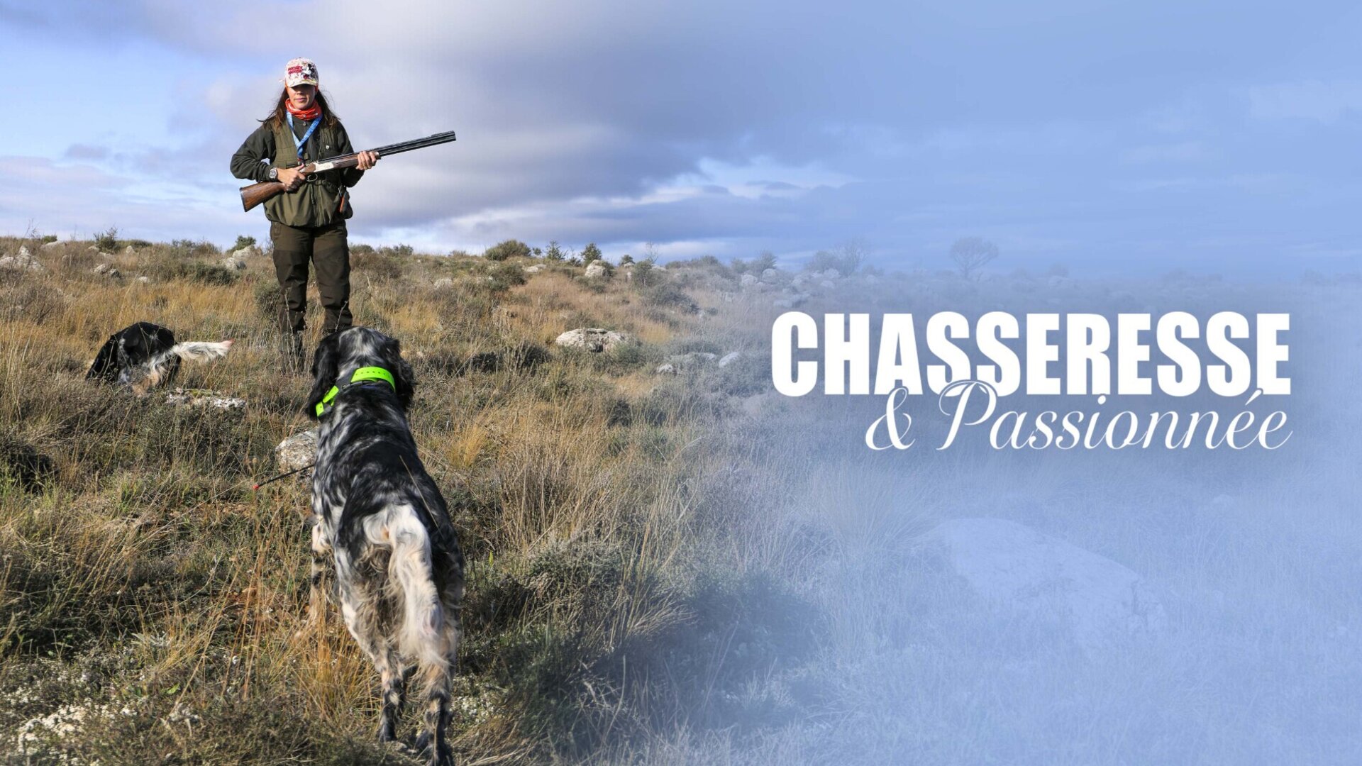 Chasse de la perdrix rouge