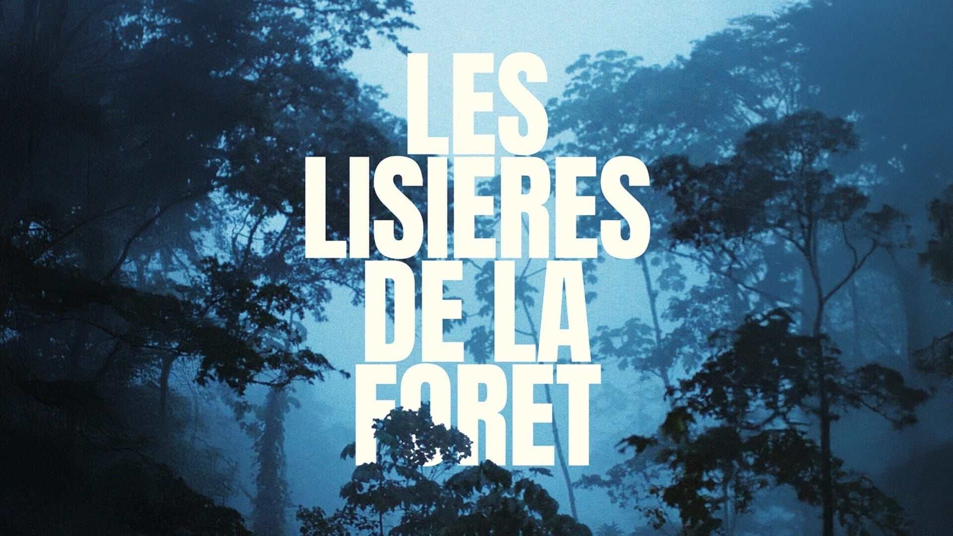 Les lisières de la forêt