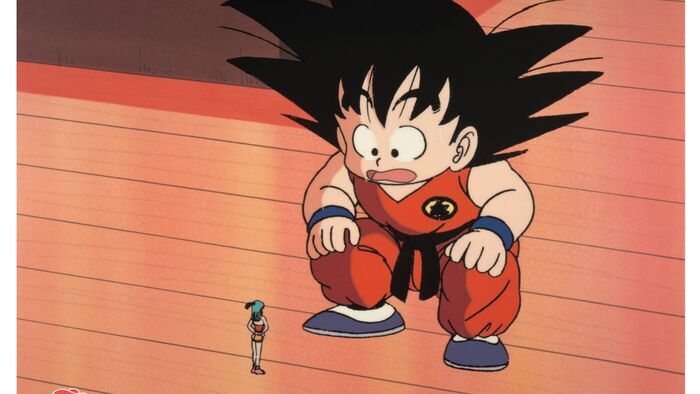 Sangoku retrouve ses amis