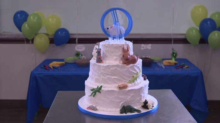 Anniversaire, hulas et mini gâteau pour hamster