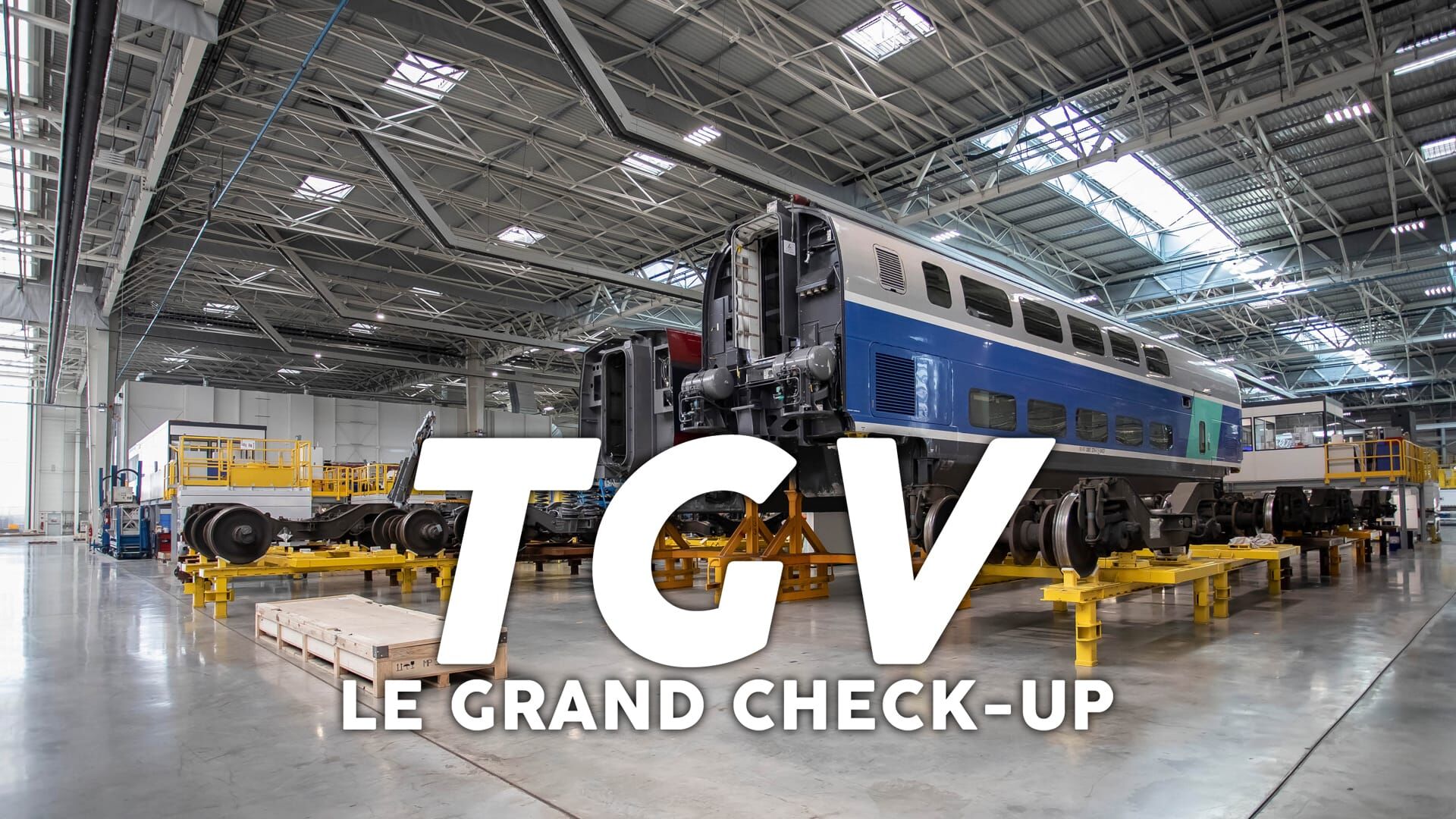 TGV : le grand check up