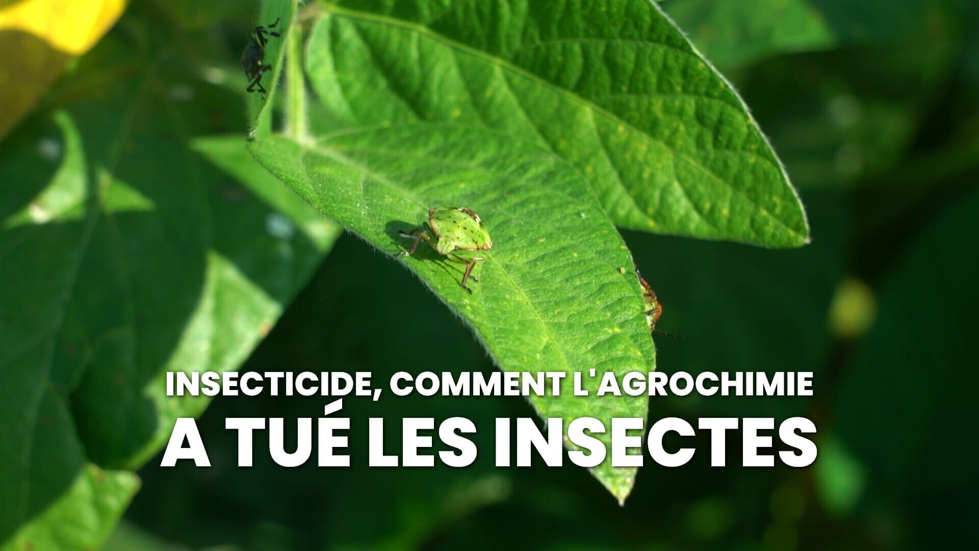 Insecticide : Comment l'agrochimie a tué les insectes