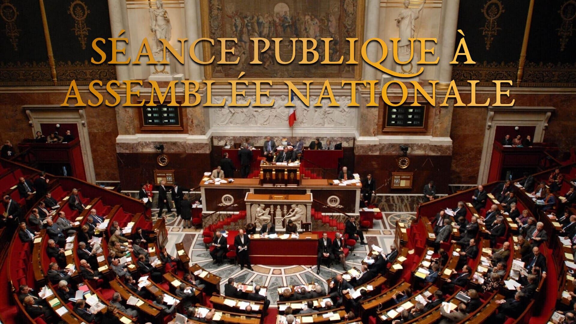 Séance publique à l'Assemblée nationale en direct