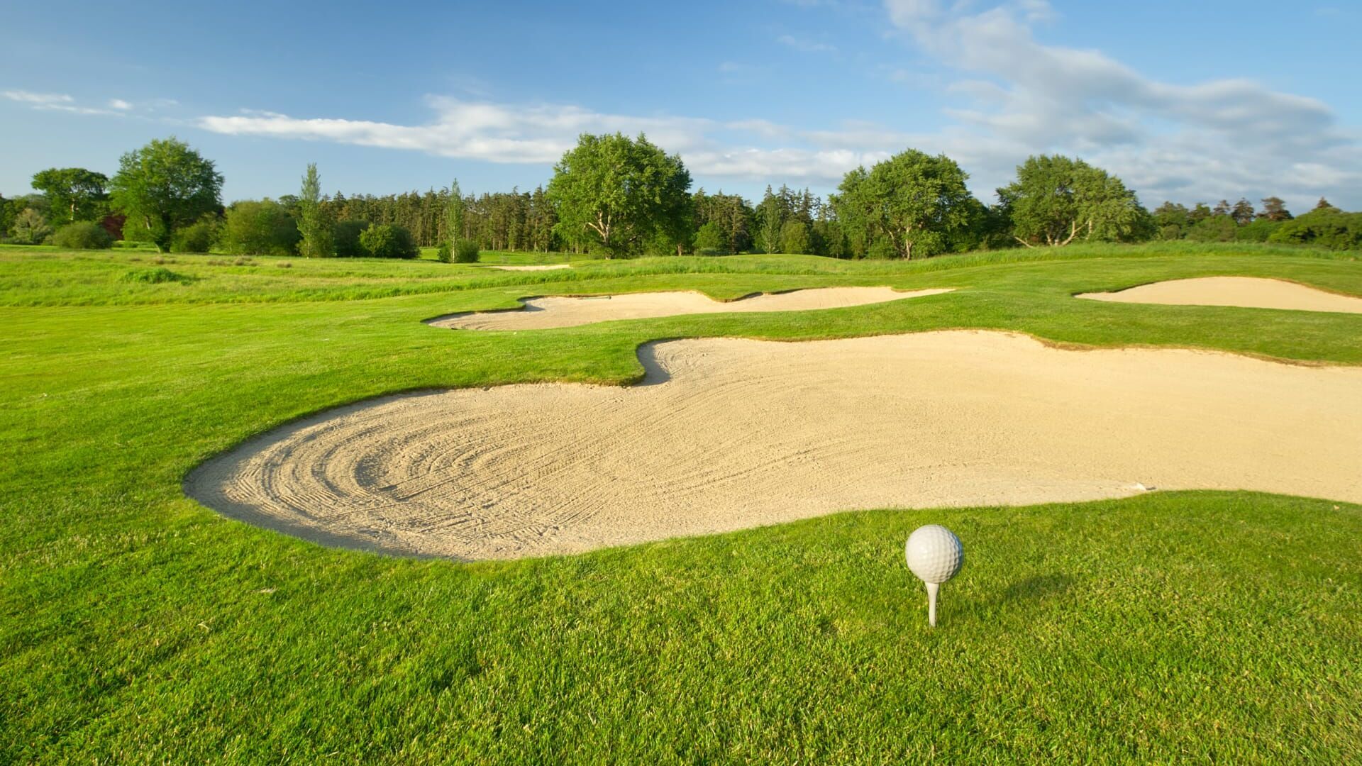 Golfers