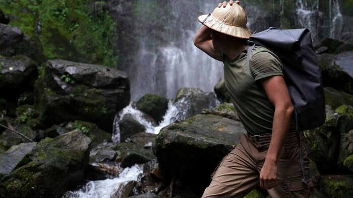 La jungle du Cantal
