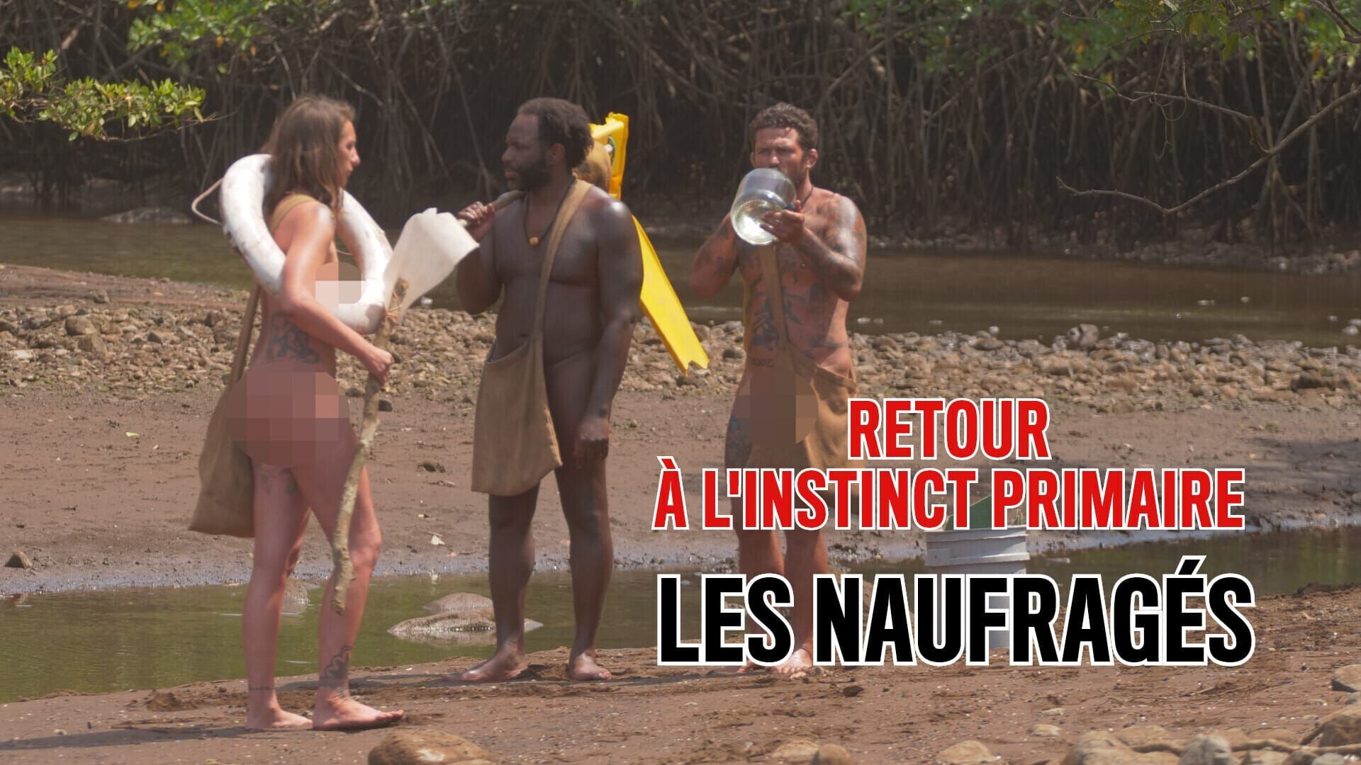 Contre vents, marées et sangliers