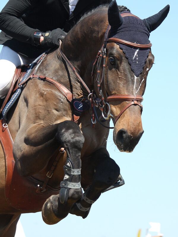 Pentathlon moderne : Championnats du monde d'obstacle