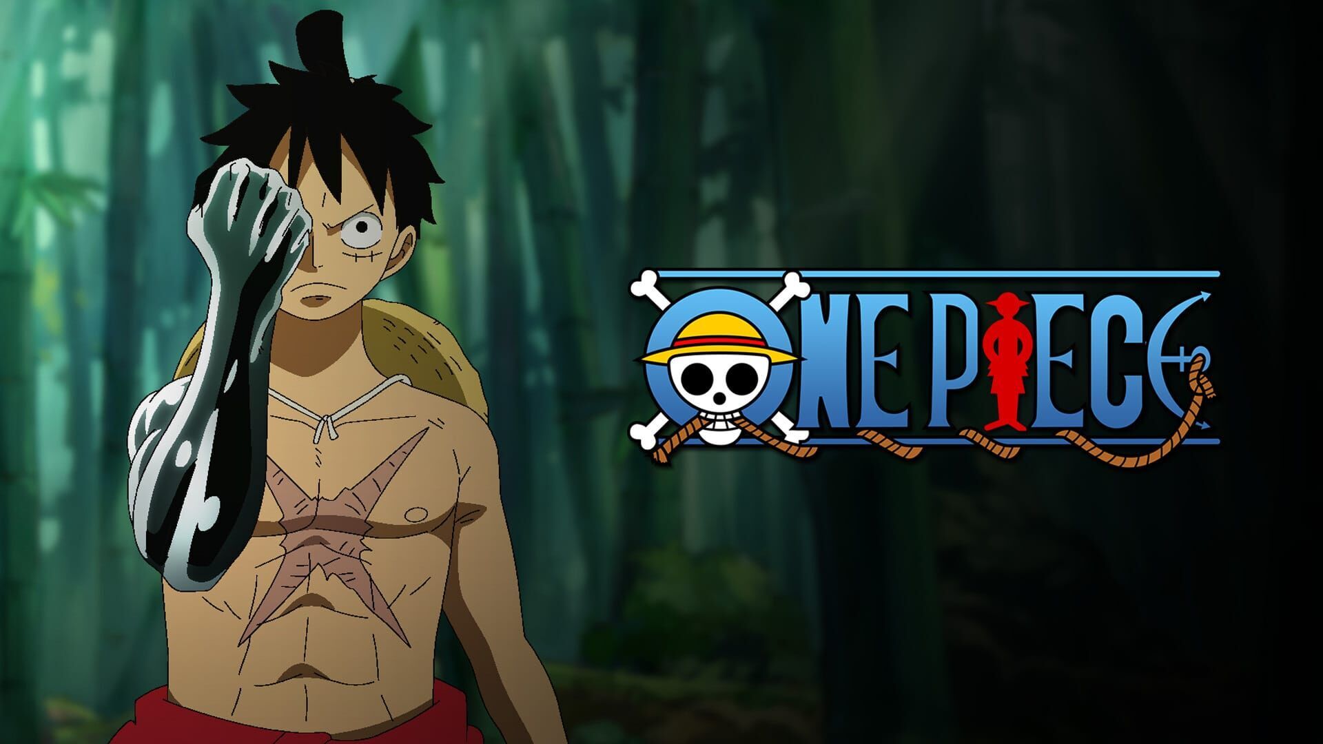 Sauve ma petite Bonney ! Kuma, le pacifiste craintif !