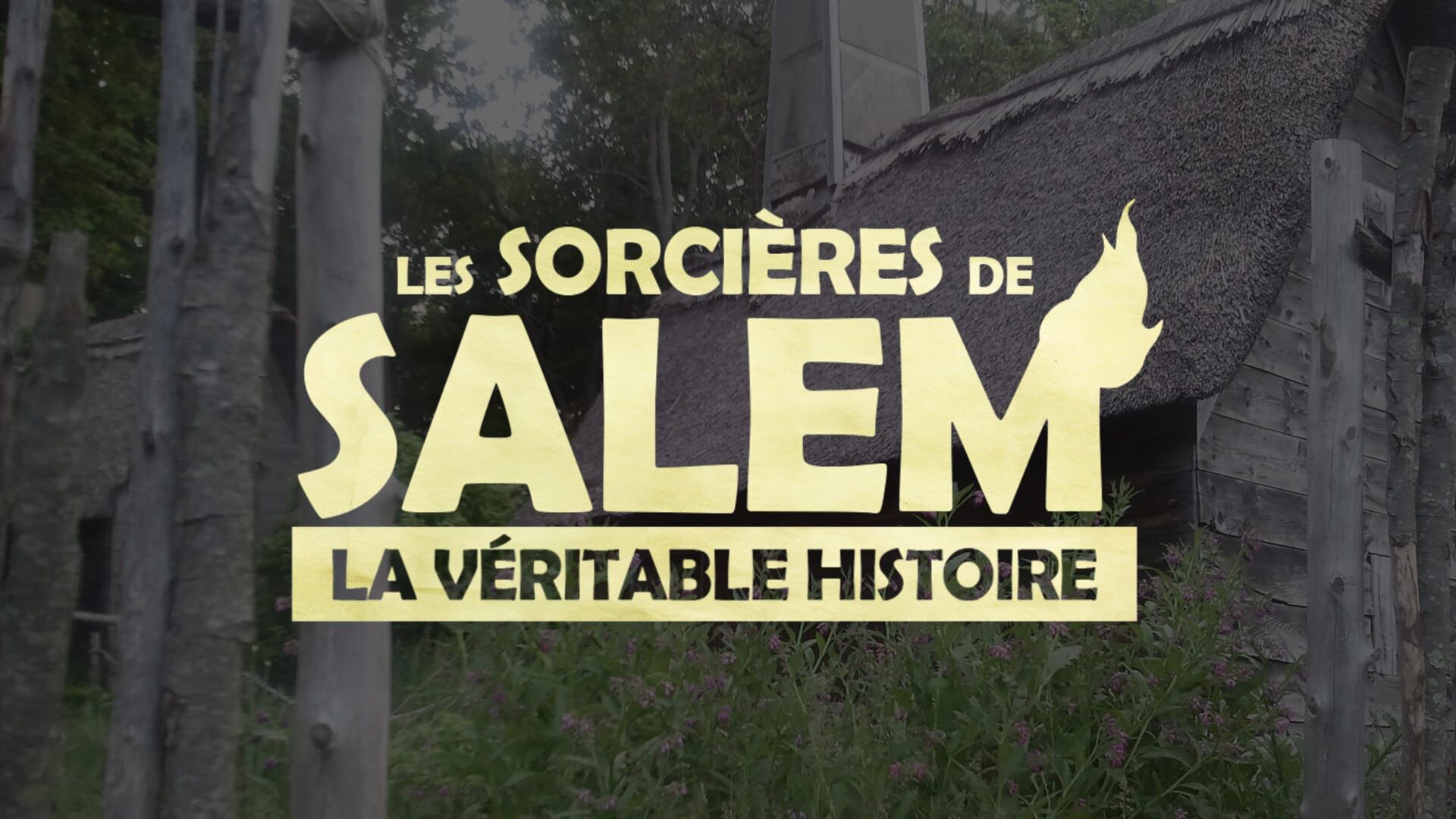 Les sorcières de Salem : la véritable histoire