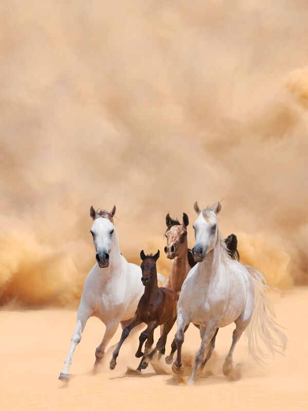 Serge Cornu, l'art et la manière (Part. 2)