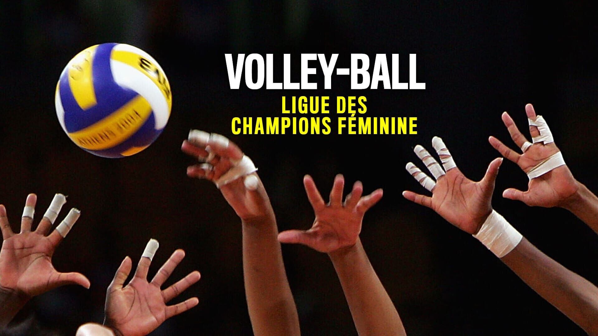 Volley-ball : Ligue des champions féminine