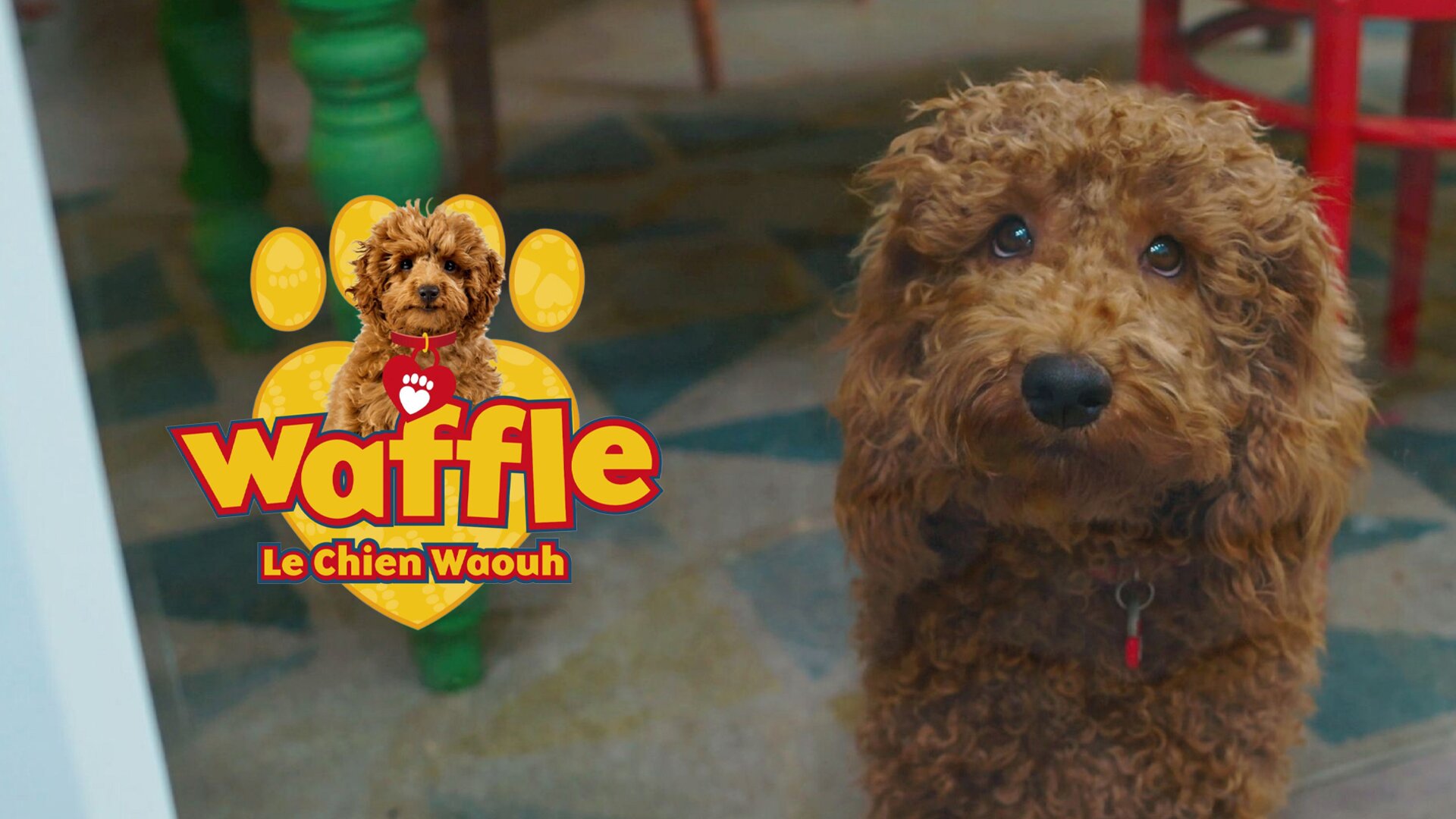 Le premier Noël de Waffle