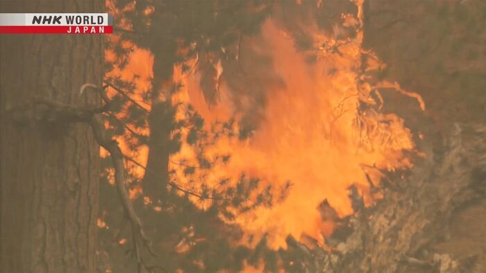 Wildfires