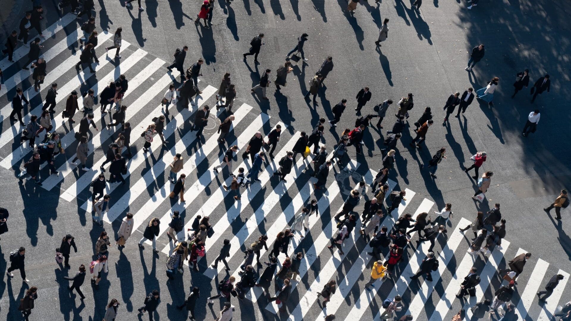 Edo Kiriko Producer Shiina Takayuki