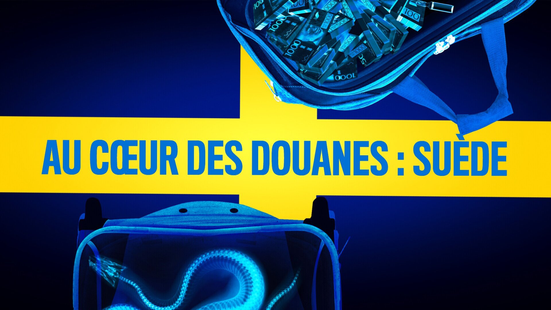 Une cargaison importante