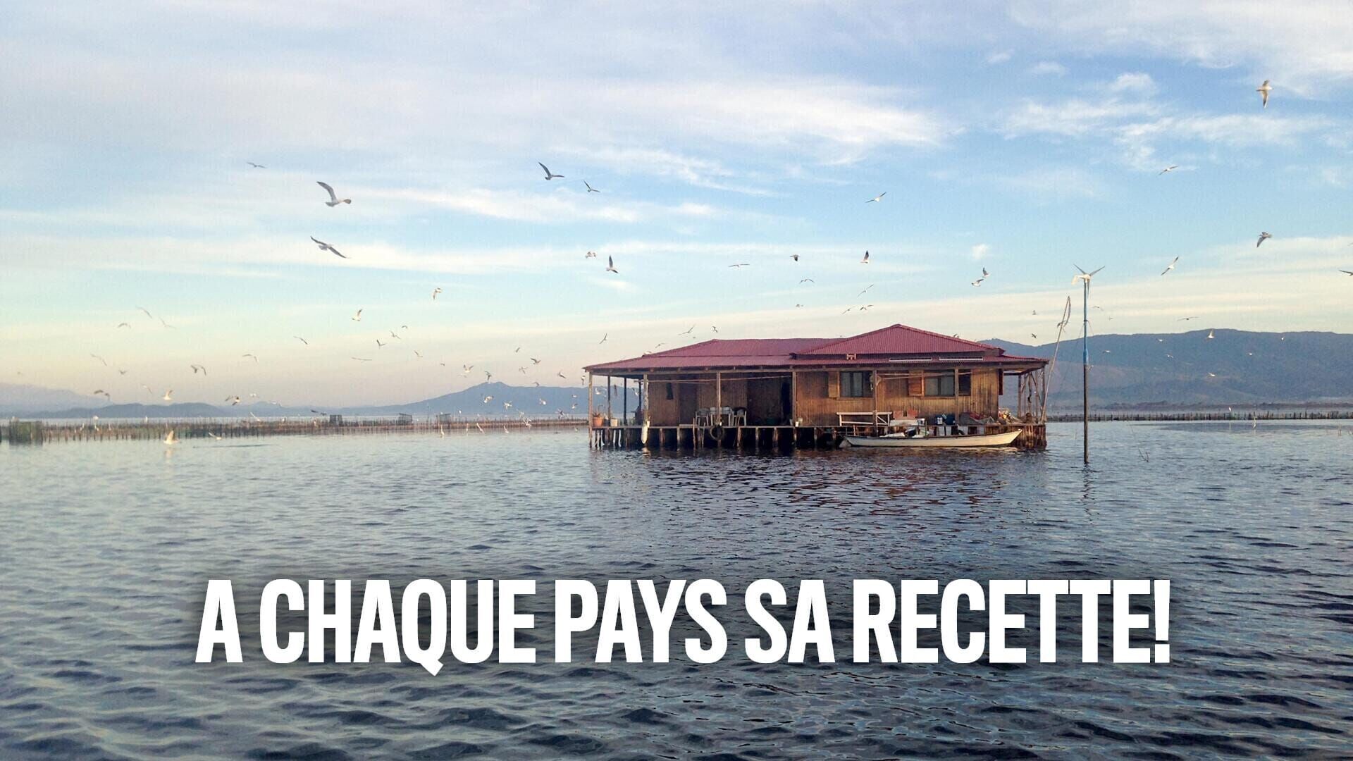 Nouilles chinoises et pâtes italiennes