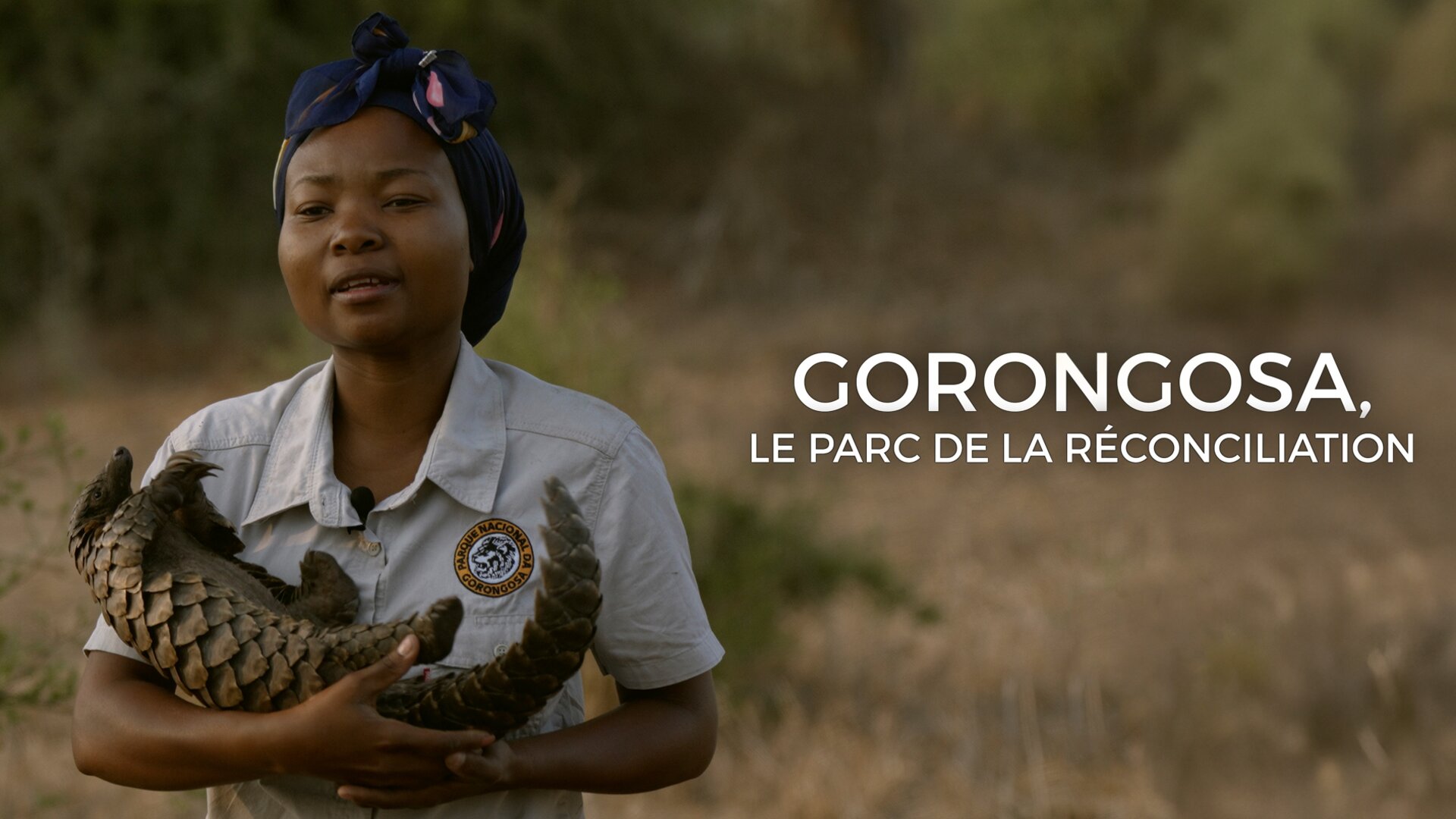 Gorongosa, le parc de la réconciliation