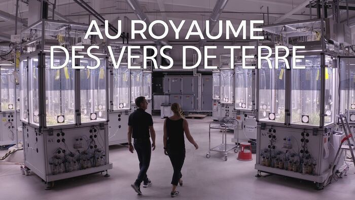 Au royaume des vers de terre - La vie du sol dévoilée