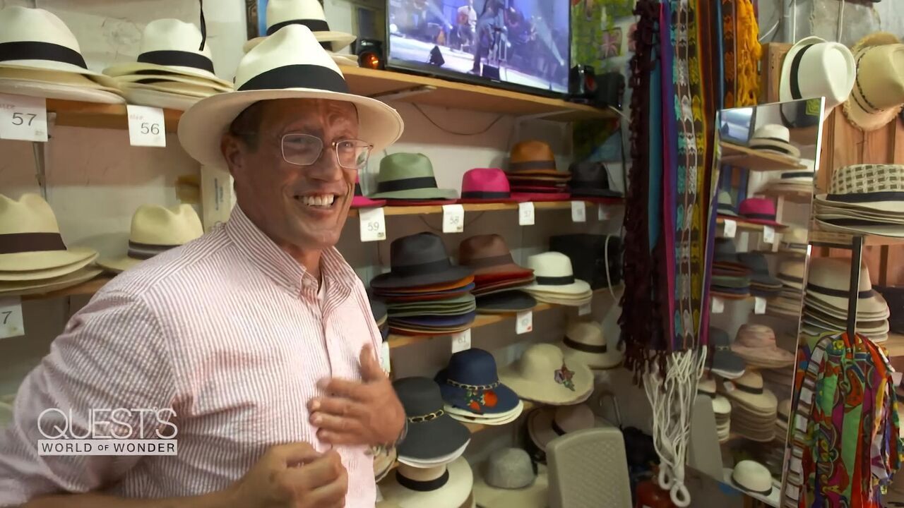 Quest's World of Wonder