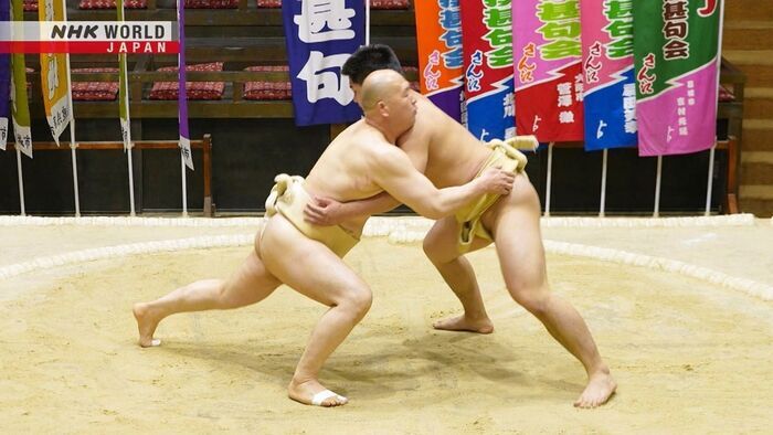 Sumo