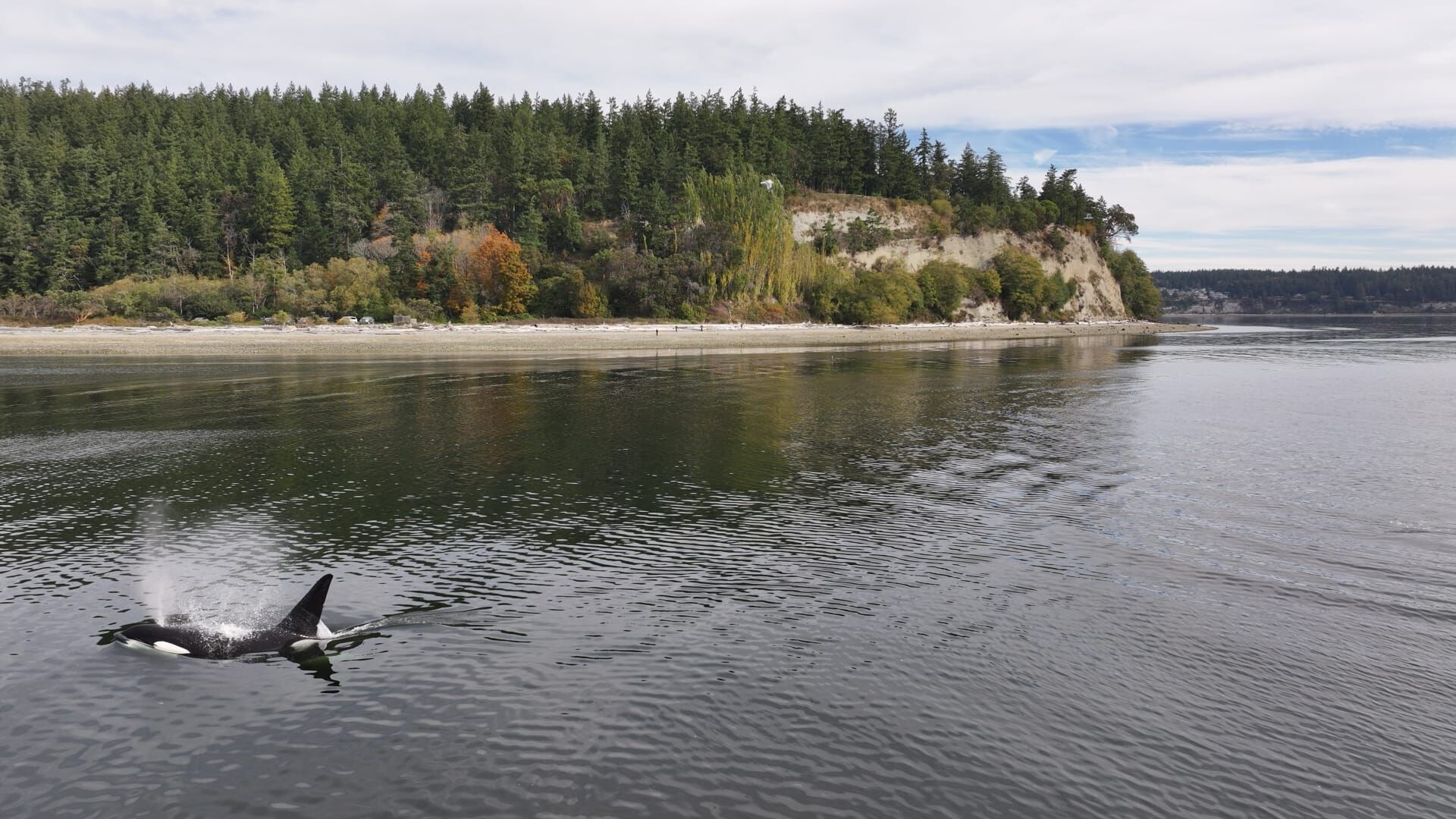 A l'école des tueuses
