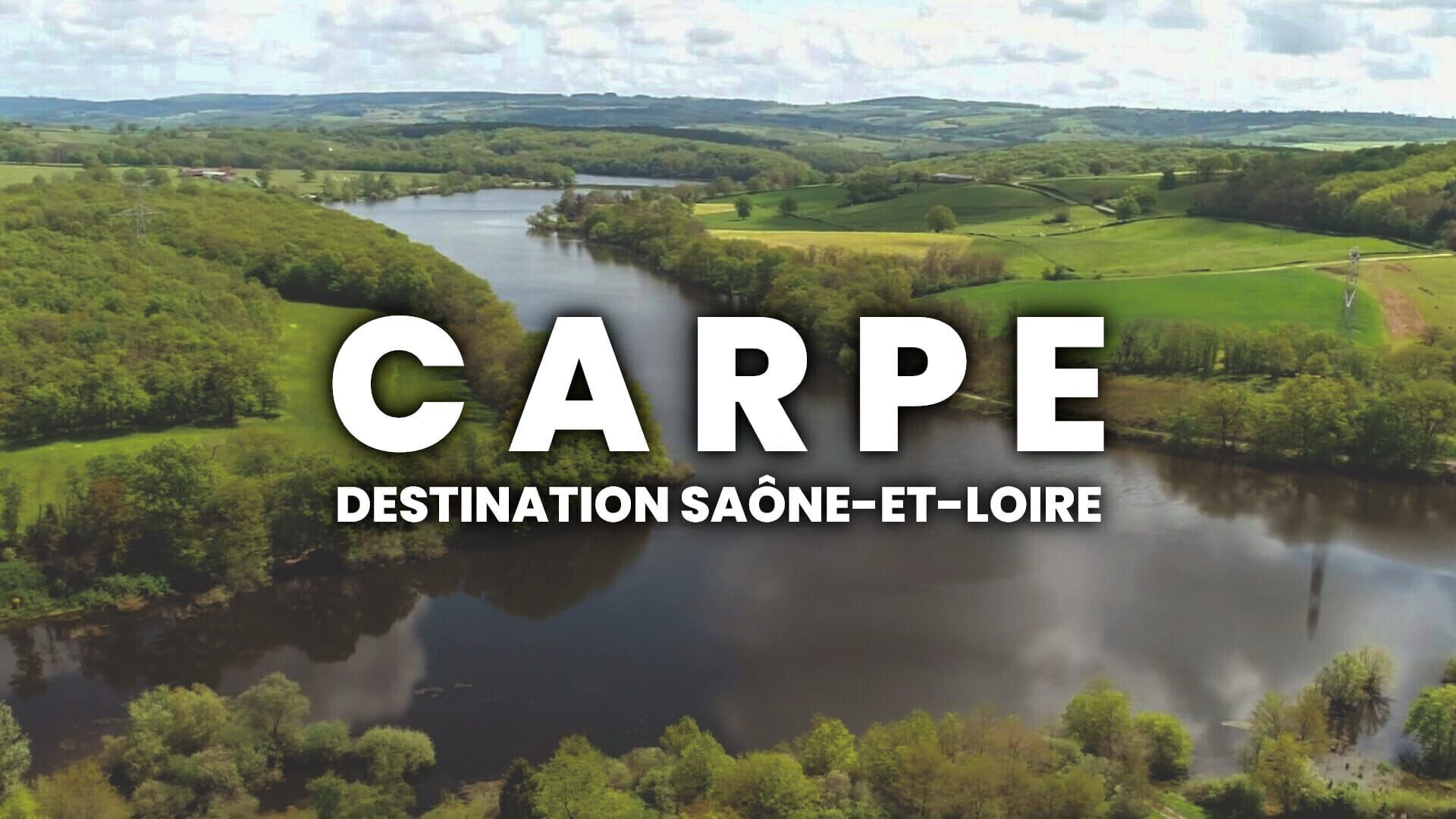 Carpe, destination Saône-et-Loire
