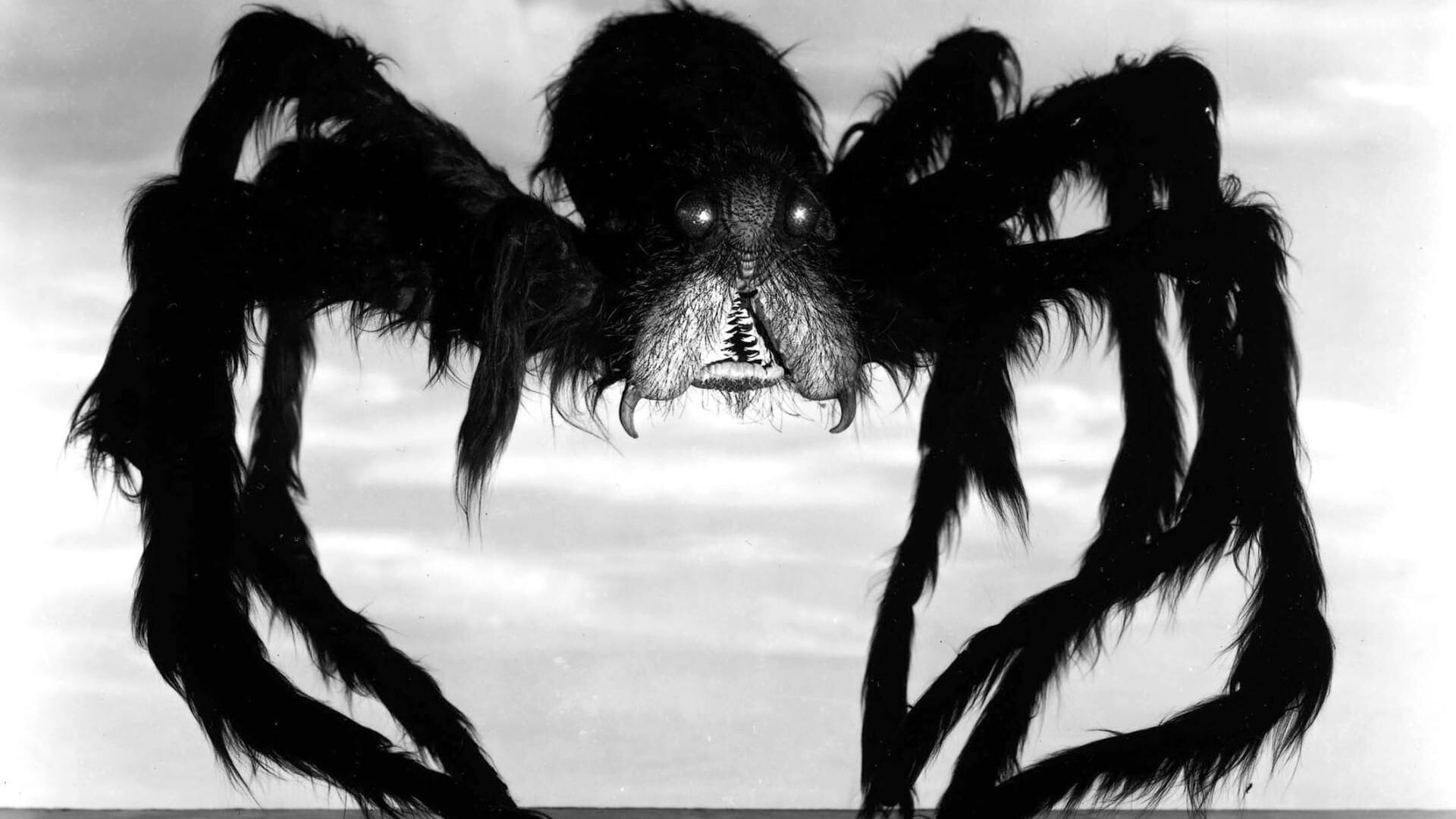 Tarantula