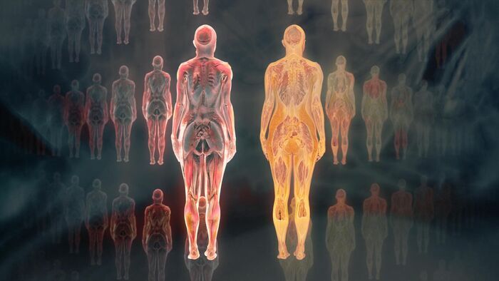 Notre corps, ce réseau social
