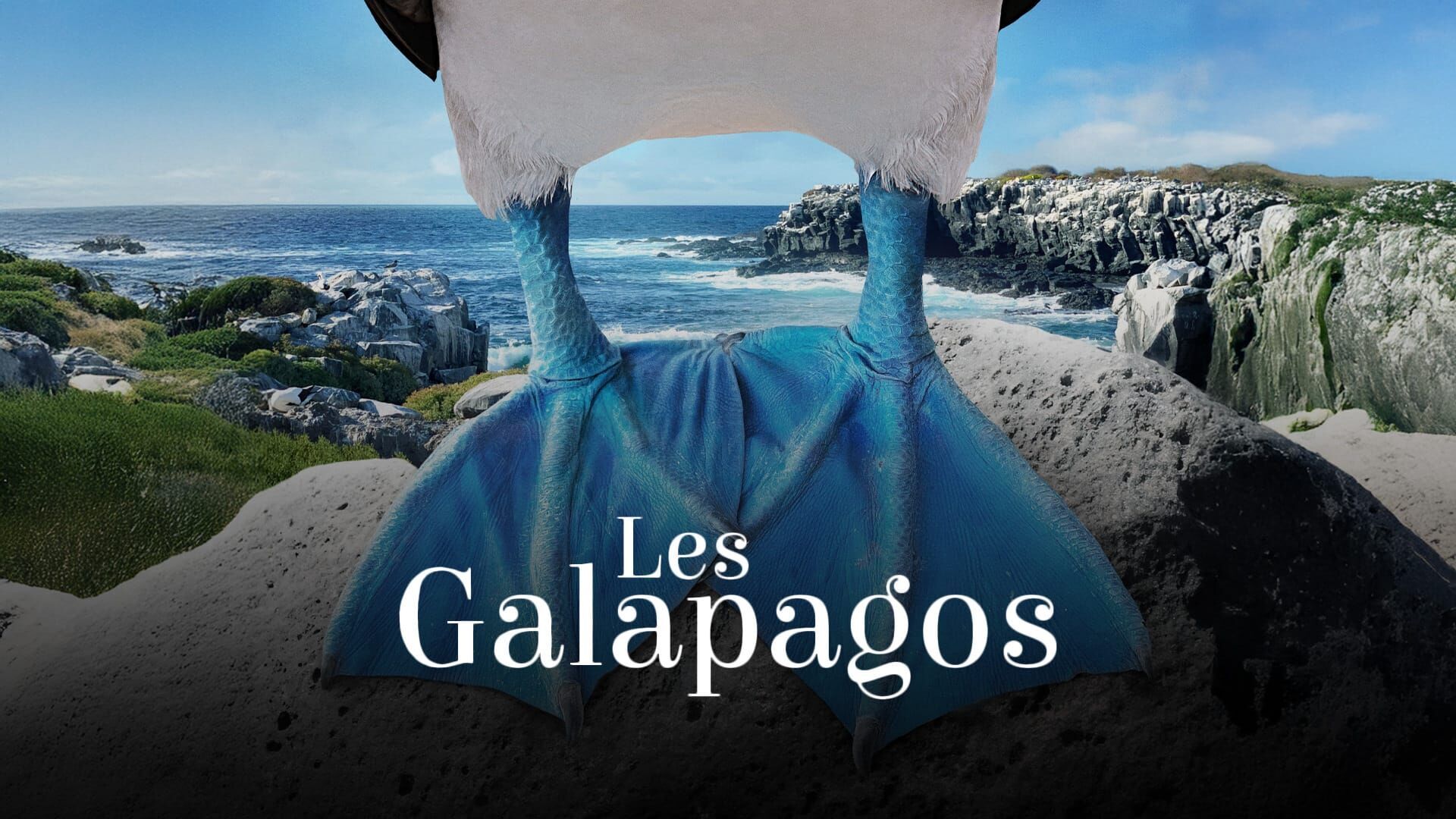 Un paradis florissant